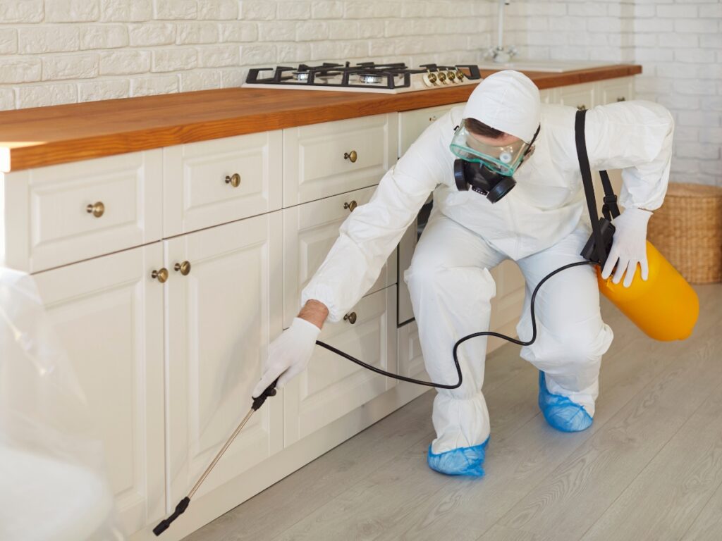 A person in protective gear uses advanced techniques to spray pesticide along the base of kitchen cabinets in a modern kitchen.